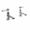 Bayswater Lever Dome Basin Pillar Taps - White/Chrome | Traditional Style Taps -Bathroom Sales Shop bayt301